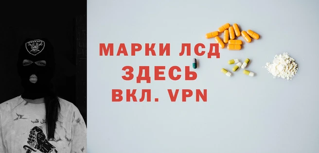 PSILOCYBIN Приозерск