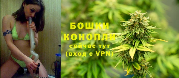 прущая мука Галич