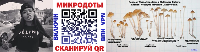 купить наркоту  Невельск  Галлюциногенные грибы Cubensis 